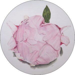 Custom Botanical Art