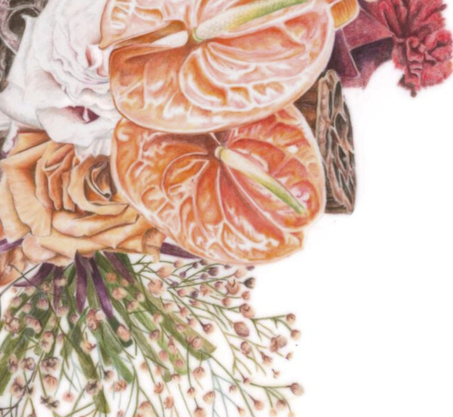 A close up of one of my favourite flowers to draw; Anthuriums.