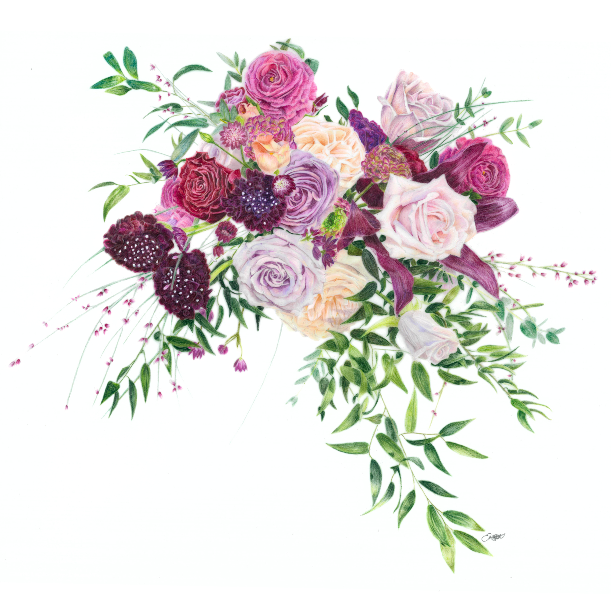 This was my wedding bouquet create by Emma Jane Floral Designs. It contains Roses, Scabiosa, Ranunculi's, Hellebores and Tulips. I was in love with it