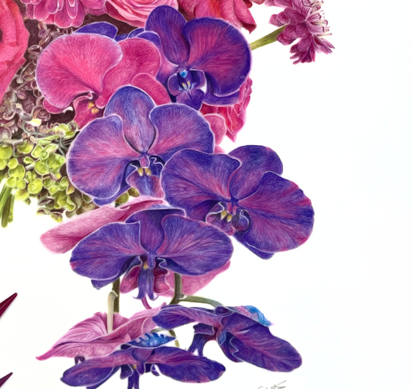 Beautiful purple orchids