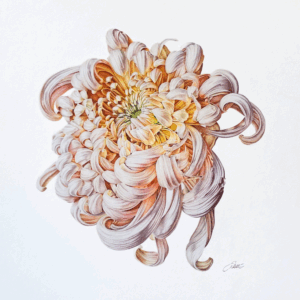 pink and orange flower
